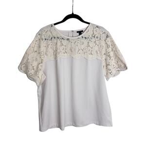Ann Taylor Neutral Floral Lace Top Feminine Officecore Women’s XL